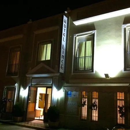 Hotel Lince *